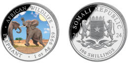 The Somali Elephant - colored "Day"