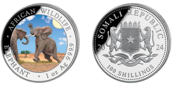 The Somali Elephant - colored "Day"