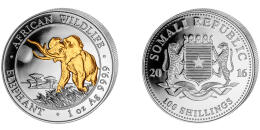 The Somali Elephant - gilded