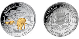 The Somali Elephant - gilded