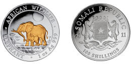 The Somali Elephant - gilded