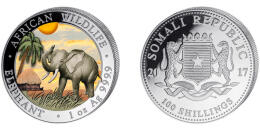 The Somali Elephant - colored "Day"