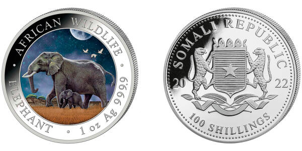 The Somali Elephant - colored "Night"