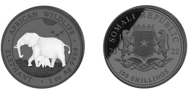 The Somali Elephant - colored "Black"