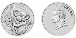 Australian Koala
