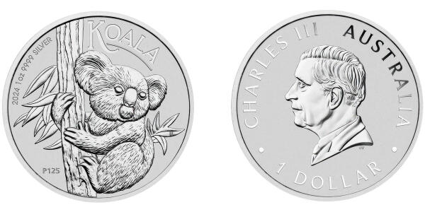 Australian Koala