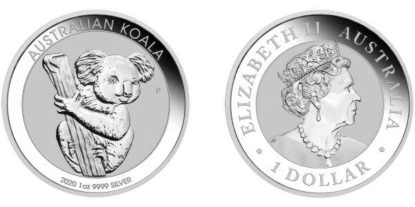 Australian Koala