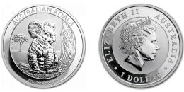 Australian Koala