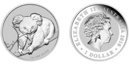 Australian Koala
