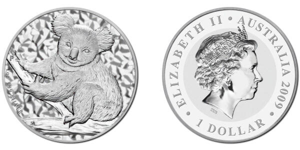 Australian Koala
