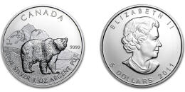 Grizzly Bear