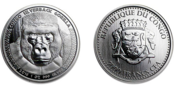 Silverback Gorilla