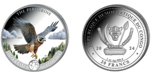 The Peregrine Falcon - colored