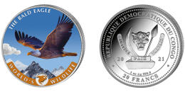 Bald Eagle - colored