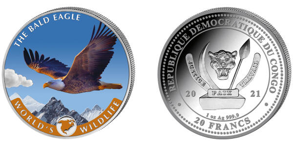 Bald Eagle - colored