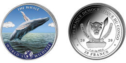 Whale - colored